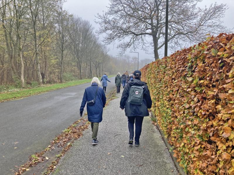Billede fra gåtur i Vrå